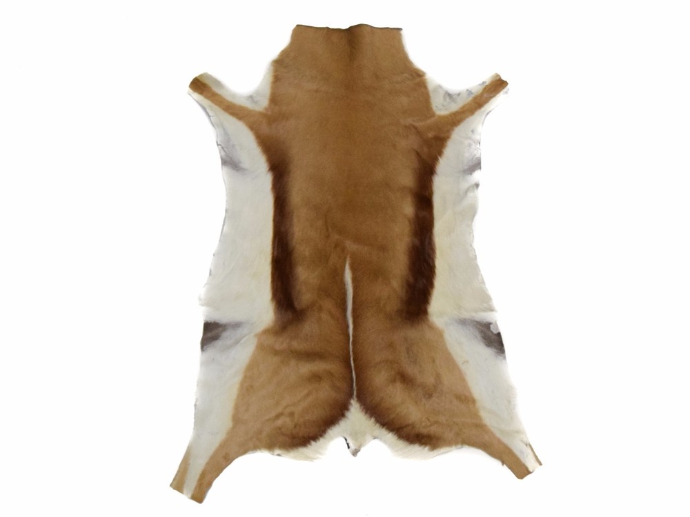 Natural Springbok Hide (155-1-AS) L18