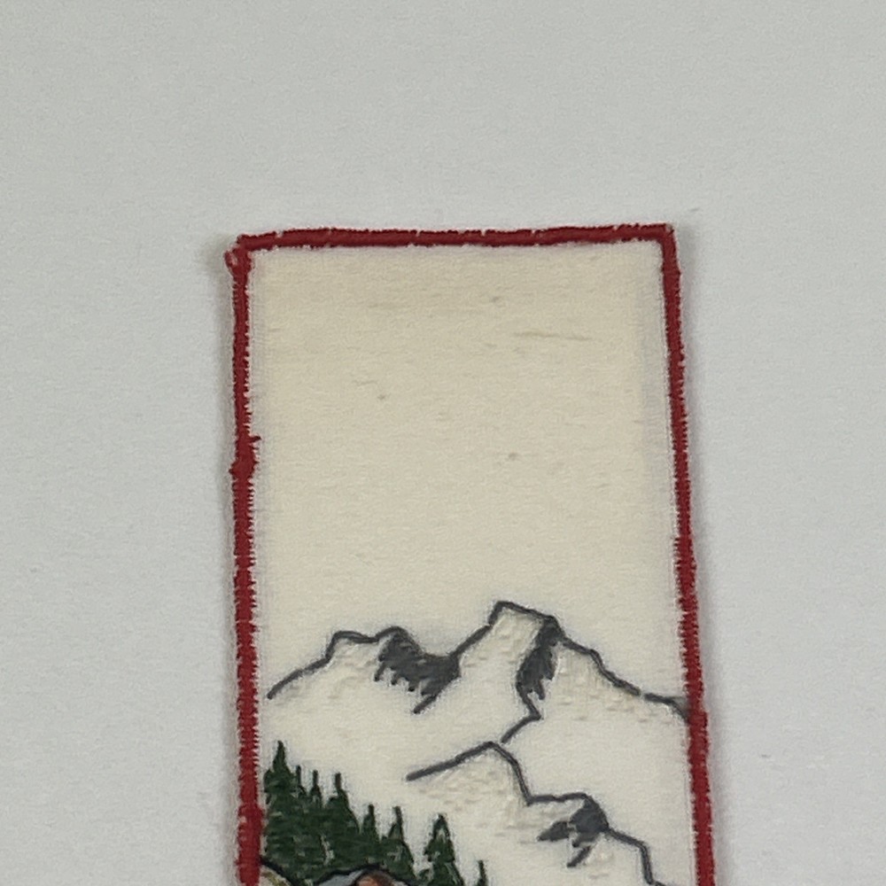 Handmade Needlepoint Bookmark - Switzerland