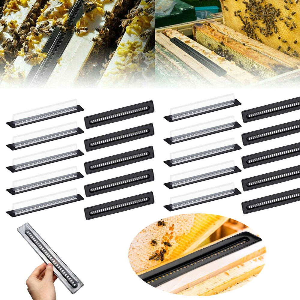 20pcs Black Small Bee Beetle Trap Hive Beetle Blaster BeeHive Beekeeping Tools