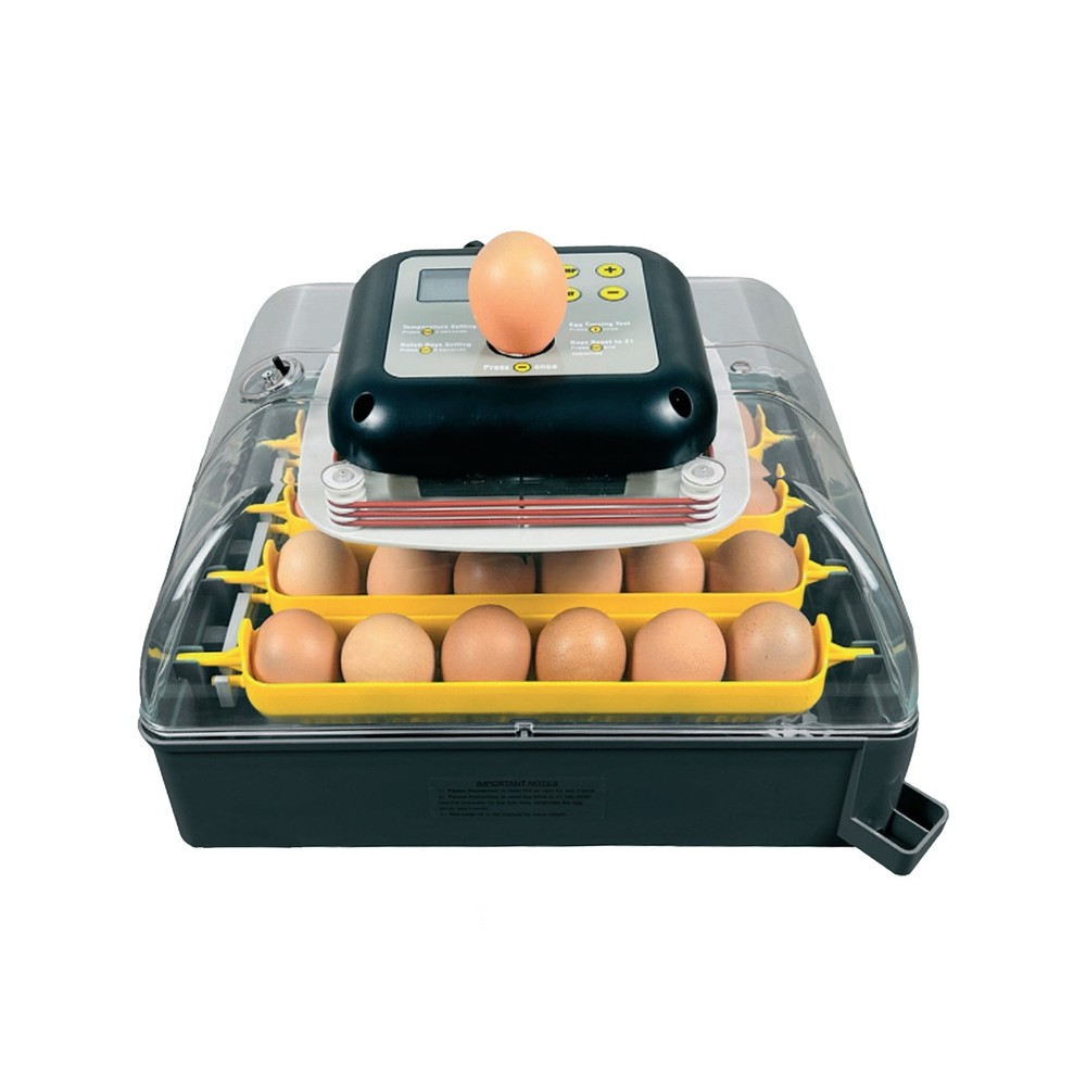 Pro24 Tabletop Automatic Egg Incubator (24 Eggs)