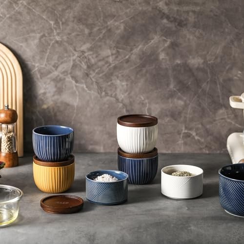 Ceramic Salt and Pepper Bowls: 10 oz Stackable Spice Cellar with Blue & White