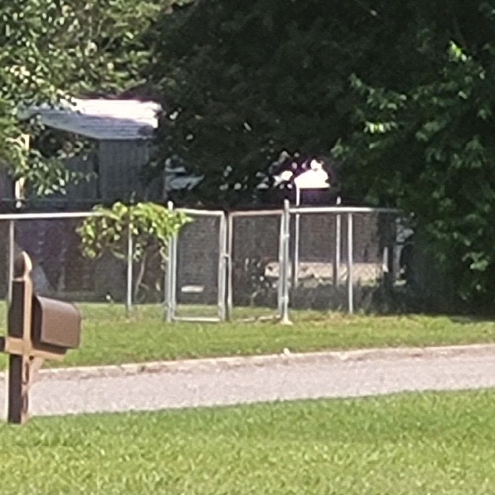 Topcon AT-22A Optical Levels with Protective Cases