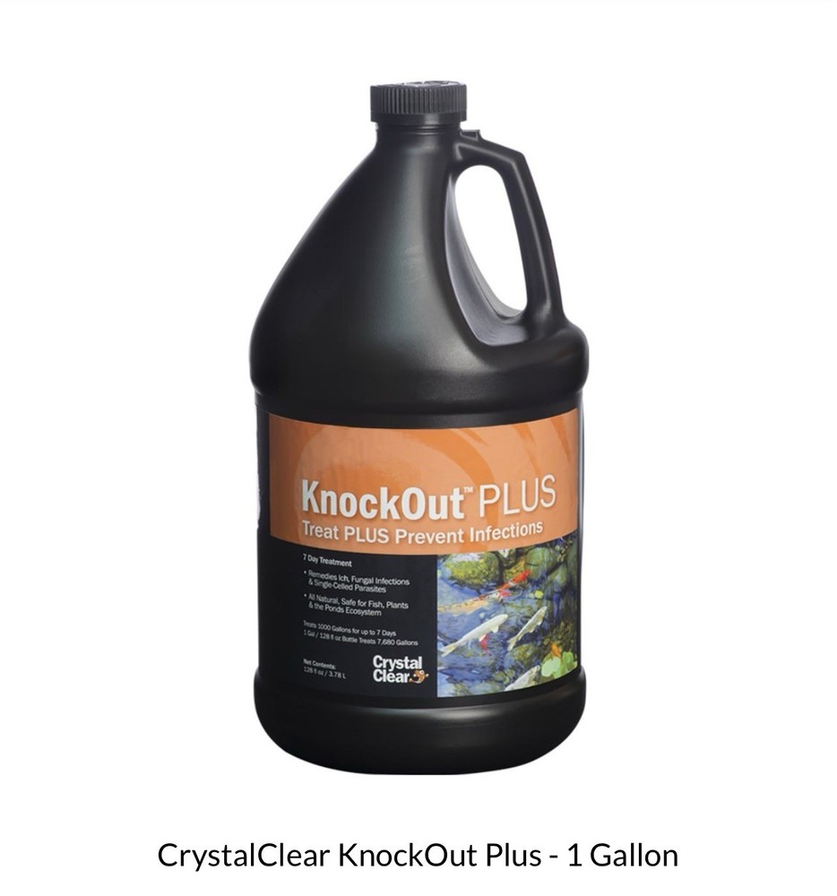 CrystalClear Knockout Plus Prevent Infections - 1 Gallon