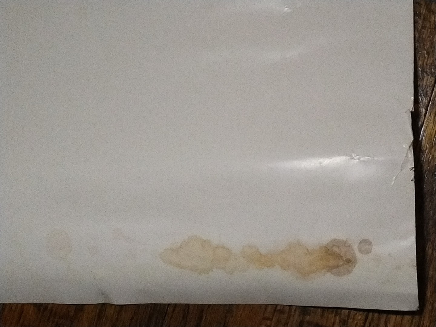 ORIG PIETASTERS CHERRY POPPIN DADDIES ROSELAND RUTGERS CONCERT POSTER INDIE PUNK