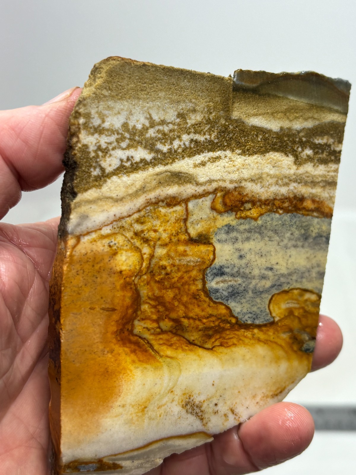 Disaster Peak Picture Jasper Slab Cabbing Lapidary Collecting Combo Ship Avail
