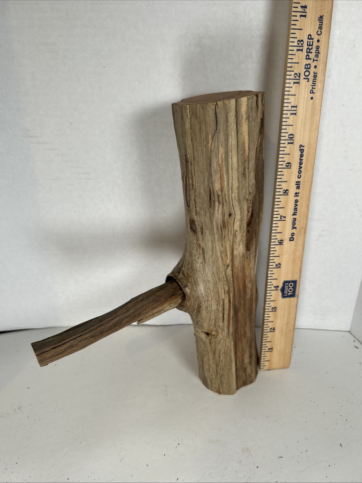 Driftwood¡ 2 Piece Set Cedar Taxidermy Beach Mountain Wedding 1 White Outside