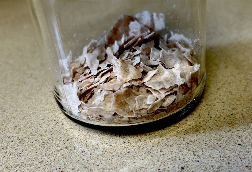 Organic Dehydrated Sourdough Starter