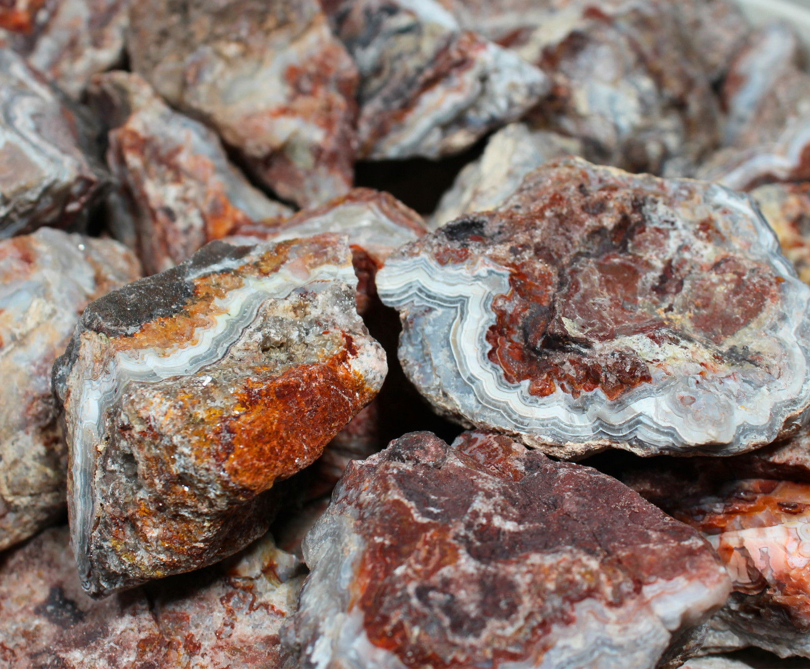 Mexican Lace Agate - Rough Rocks for Tumbling from Mexico - Bulk Wholesale