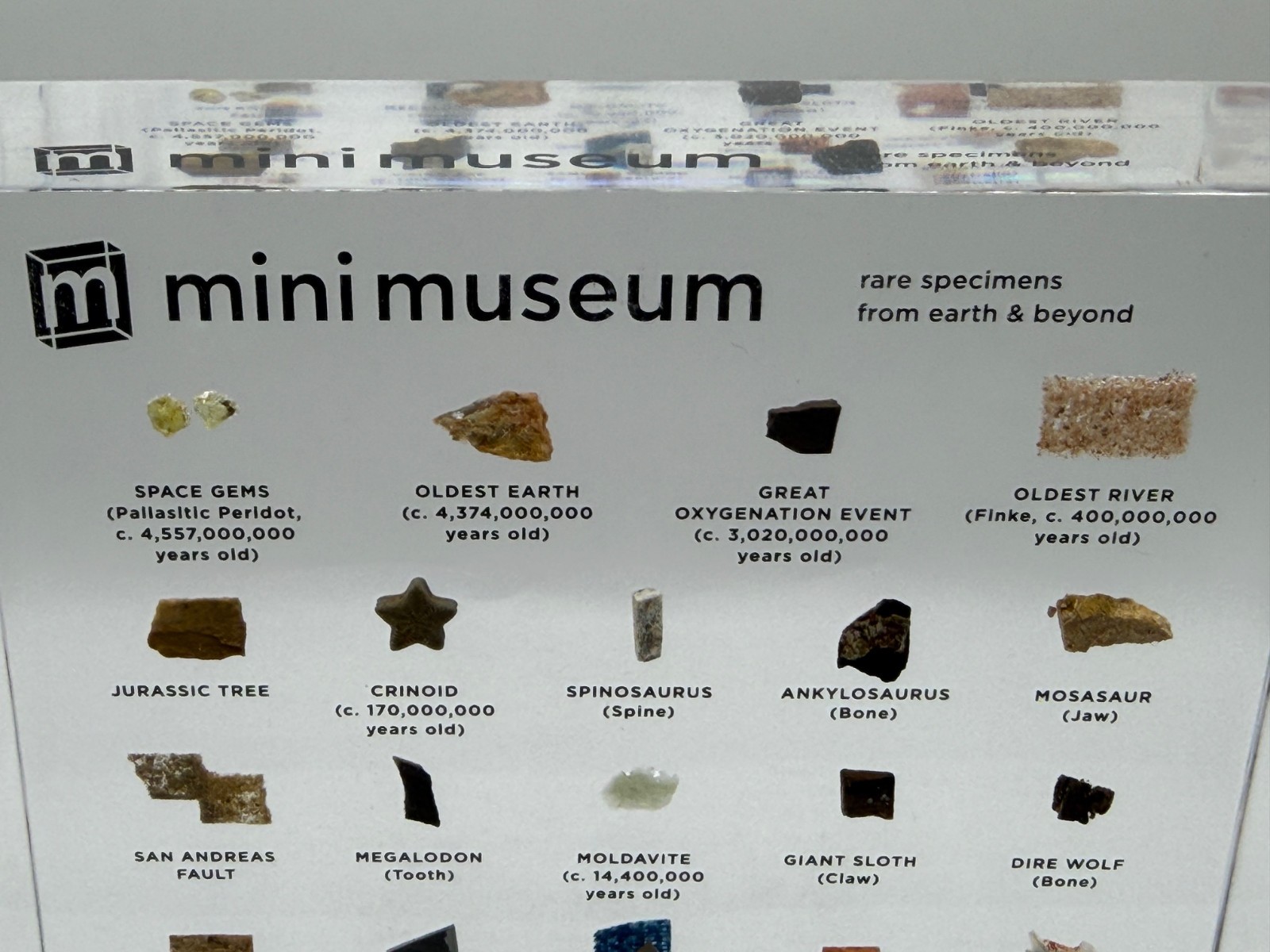 Mini Museum 3 Limited 3rd Edition - Large 29 Rare Specimens Hans Fex Kickstarter