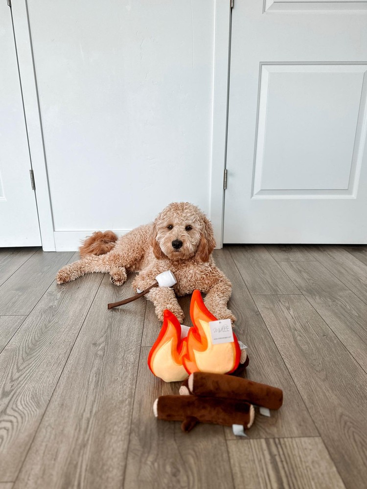 Midlee Campfire Dog Toy