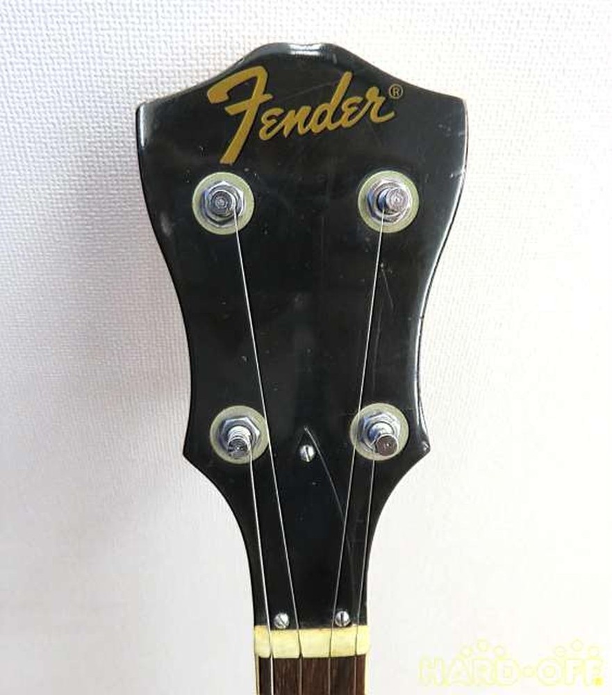 Fender Allegro 05412 Banjo