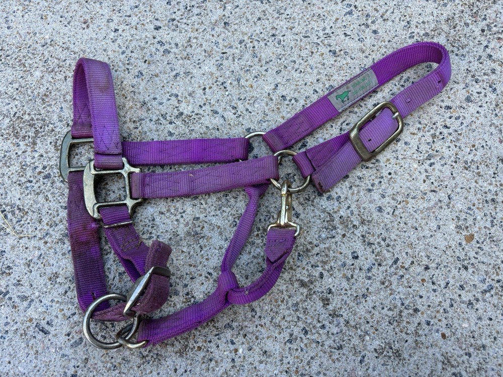 USED! Purple/Pink Weaver Yearling Halter 300-500ibs