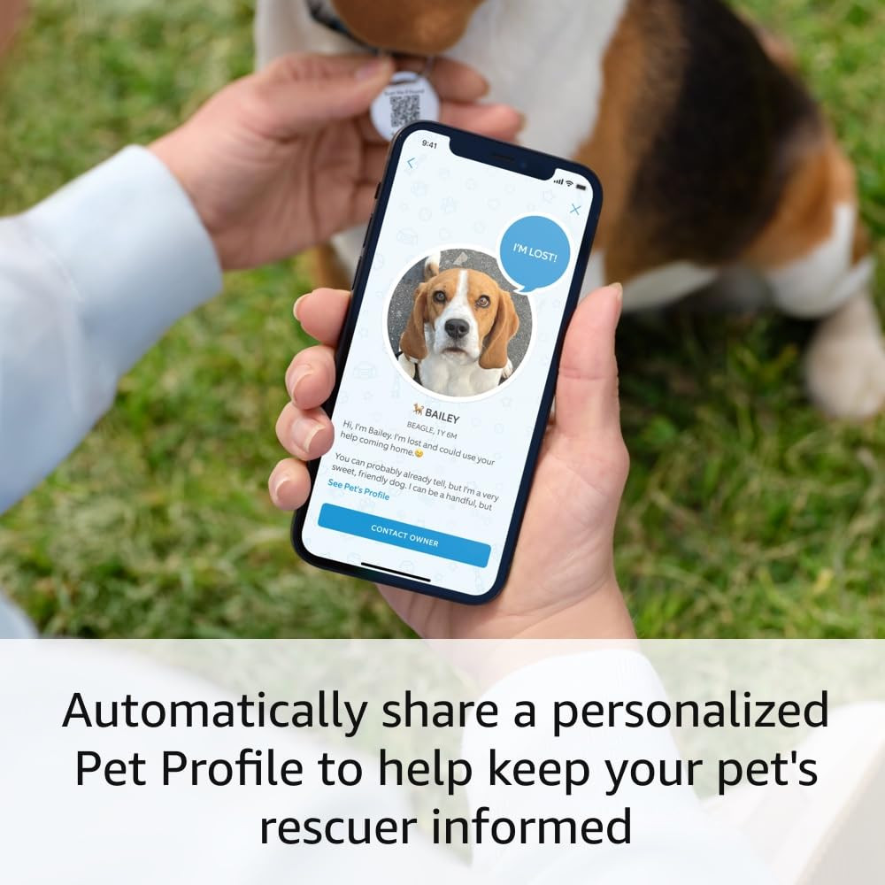 Ring Pet Tag | Easy-to-use tag with QR code | Real-time scan alerts | Shareable