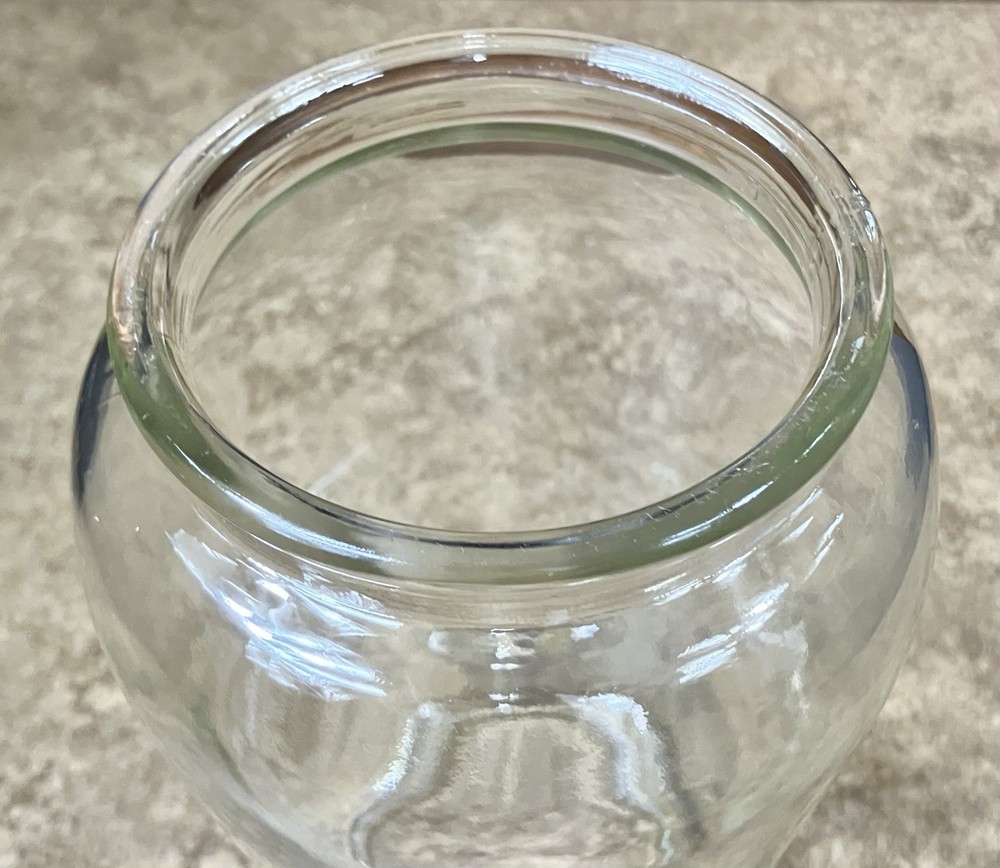 Chalwyn w/Torch Clear Globe