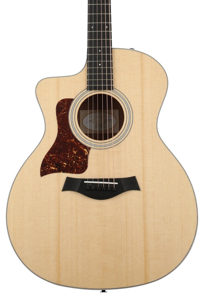 Taylor F204002111017891000 (2-pack) Bundle