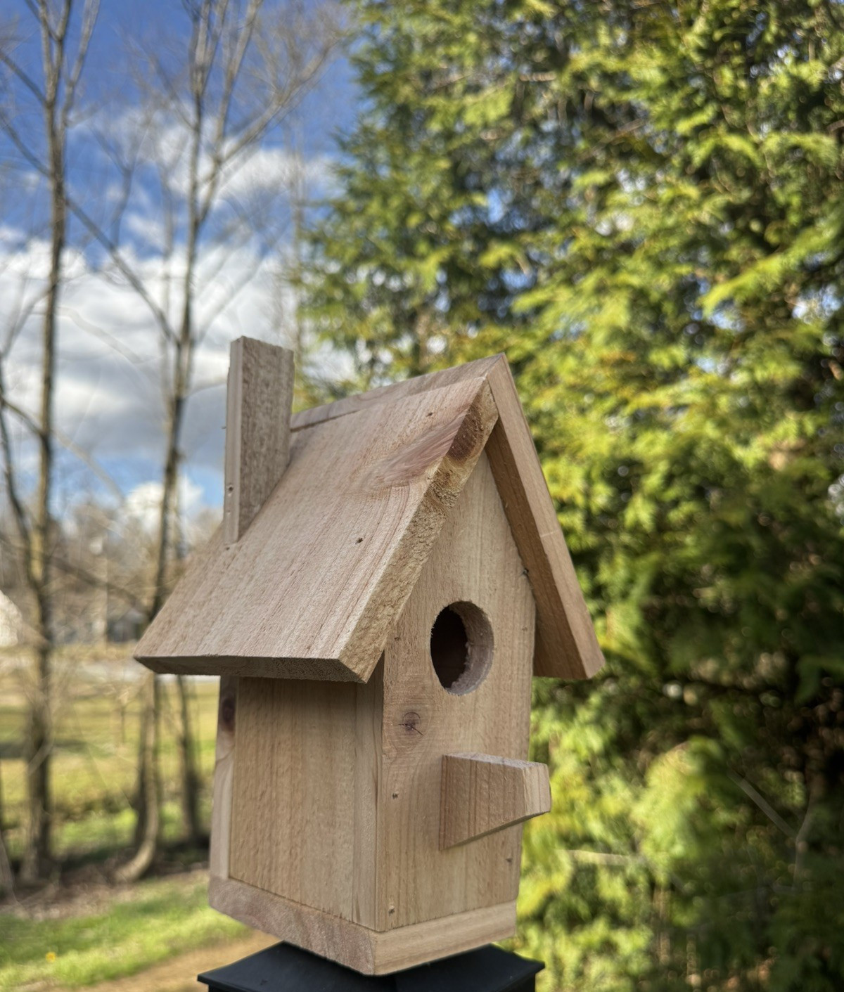Handmade Cedar Birdhouse w/ Chimney Rustic Outdoor Wren Chickadee Nest Box