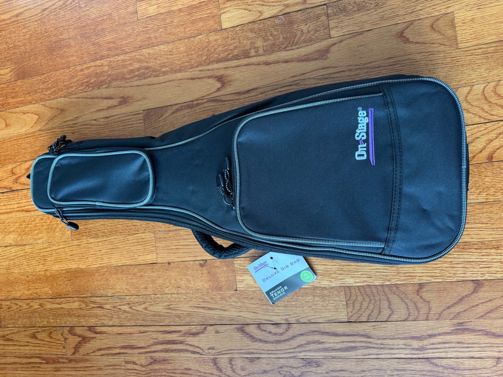 mandolins musical instrument a style