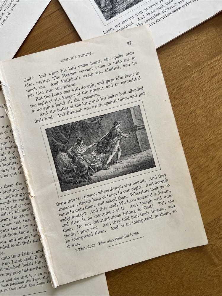 Antique Bible Story Book Pages