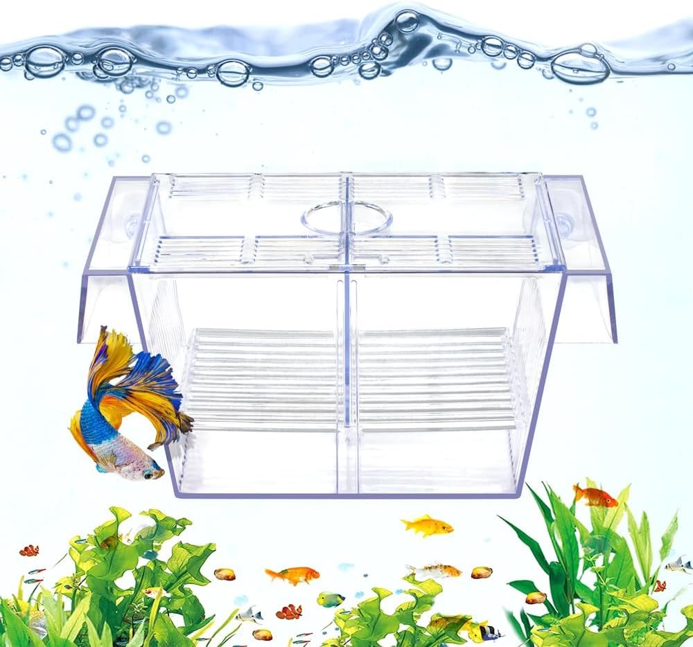 Transparent Fish Breeding Isolation Box