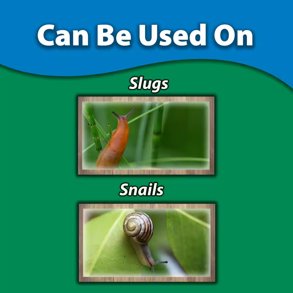 1 Lb. Sluggo