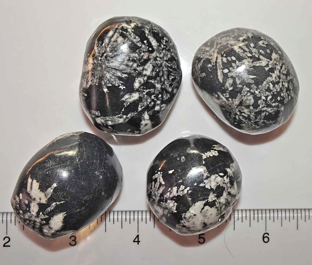 Chrysanthemum Stones - 4 Polished Pebbles  rt399a2
