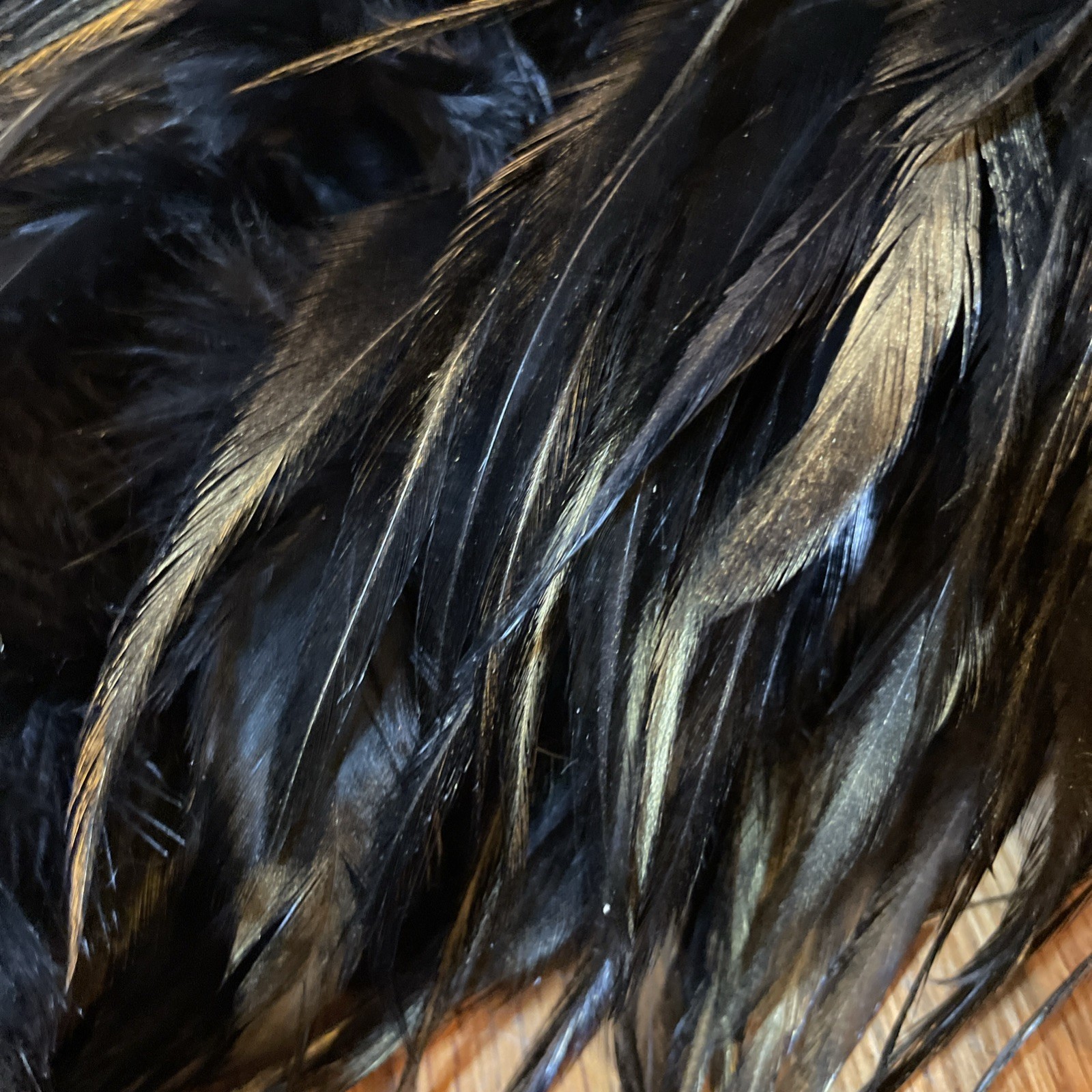 Lot of 2 Authentic Genuine Real Feather Boas Costume Accessory Runway Boa VTG