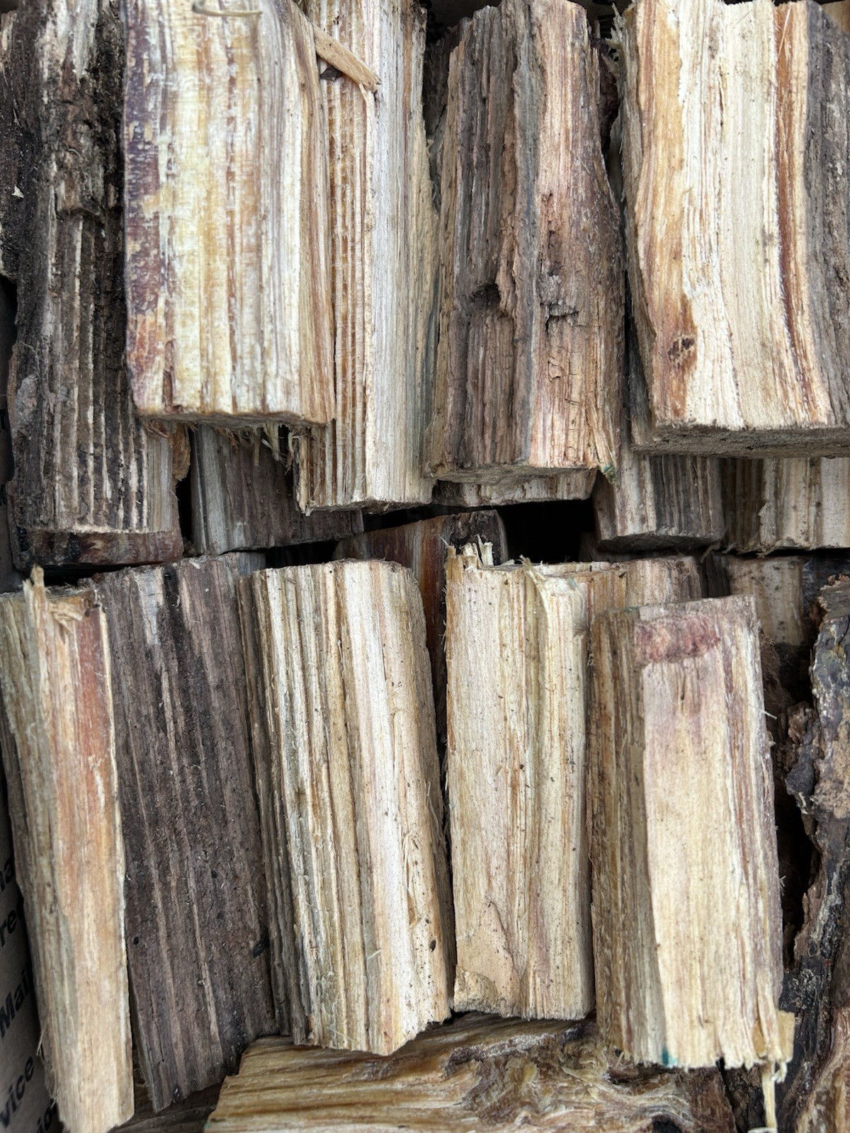 10 lbs Georgia ”FATWOOD FUEL” Kindling Firewood Lighter Ocote Chez JonesTHE BEST