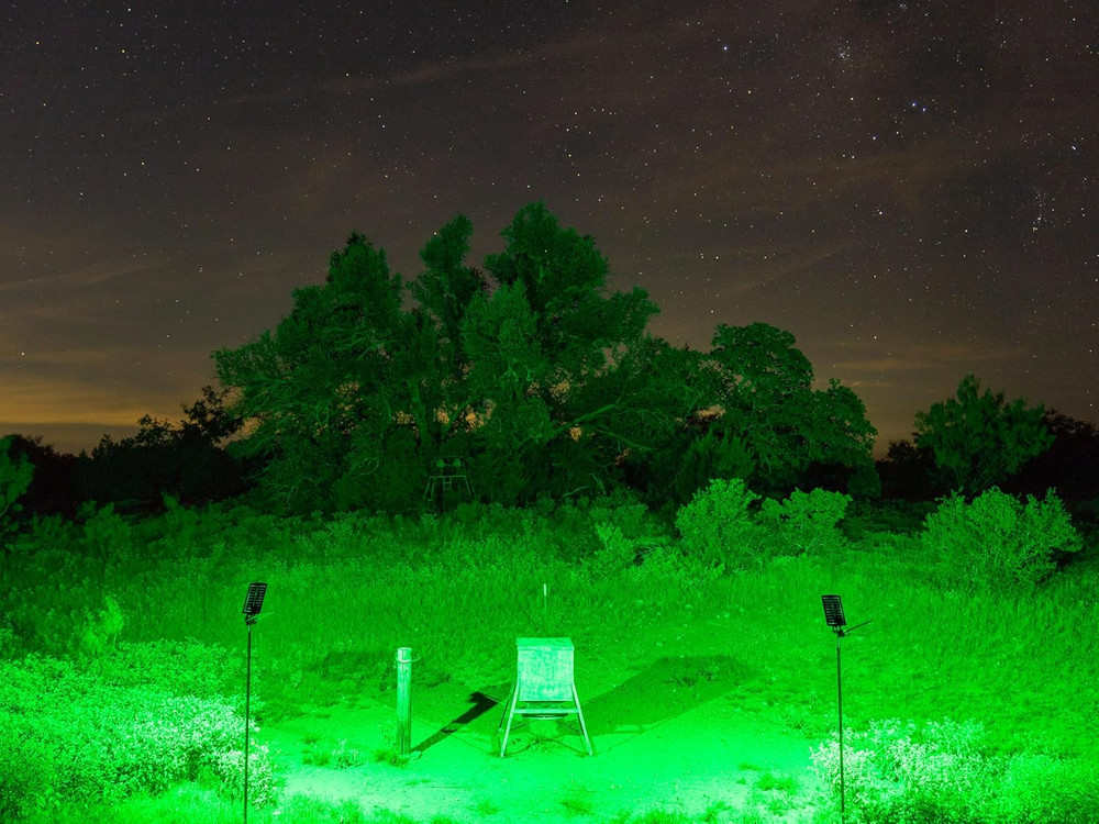 Kill Light Outfitter Motion-Activated Feeder Light, 20000 Lumen Solar Powered Gr