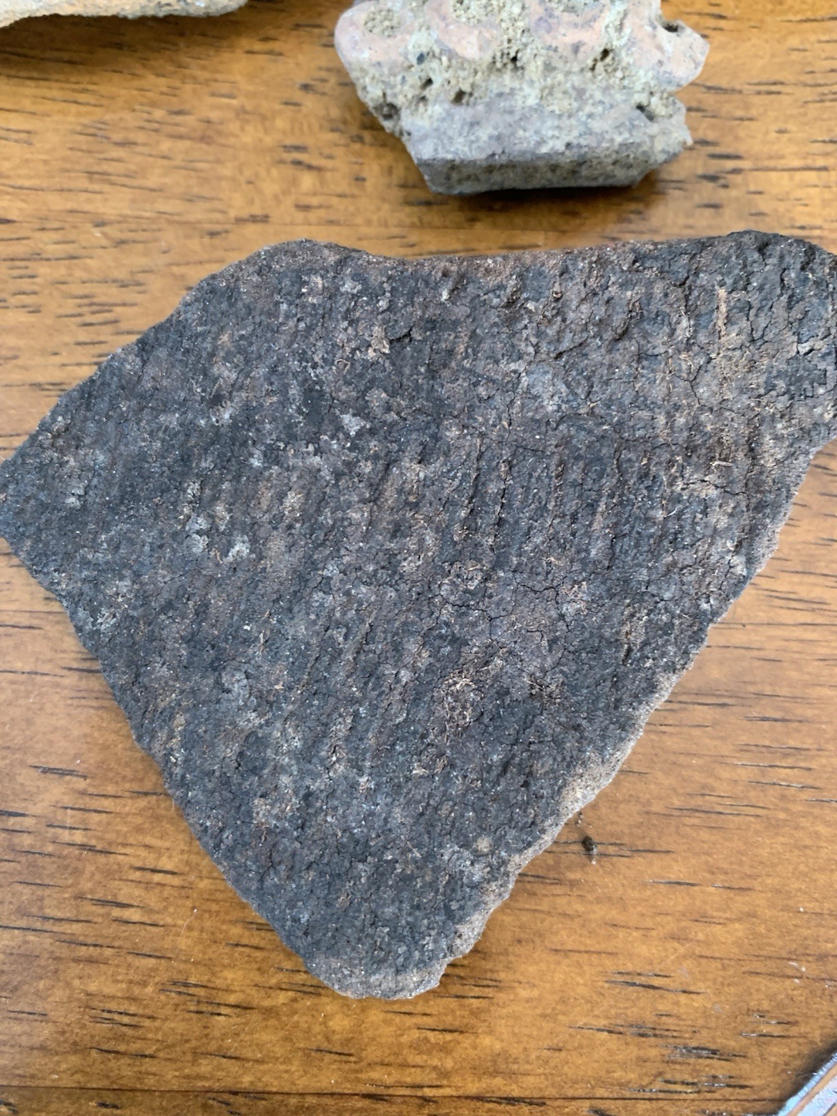 Authentic American Indian Artifacts Found Near Kingstree, SC pottery shards