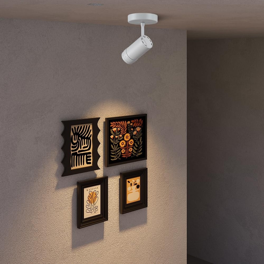 9W LED Zoomable Ceiling Spotlight, Dimmable Directional Wall Surface Fixture,...