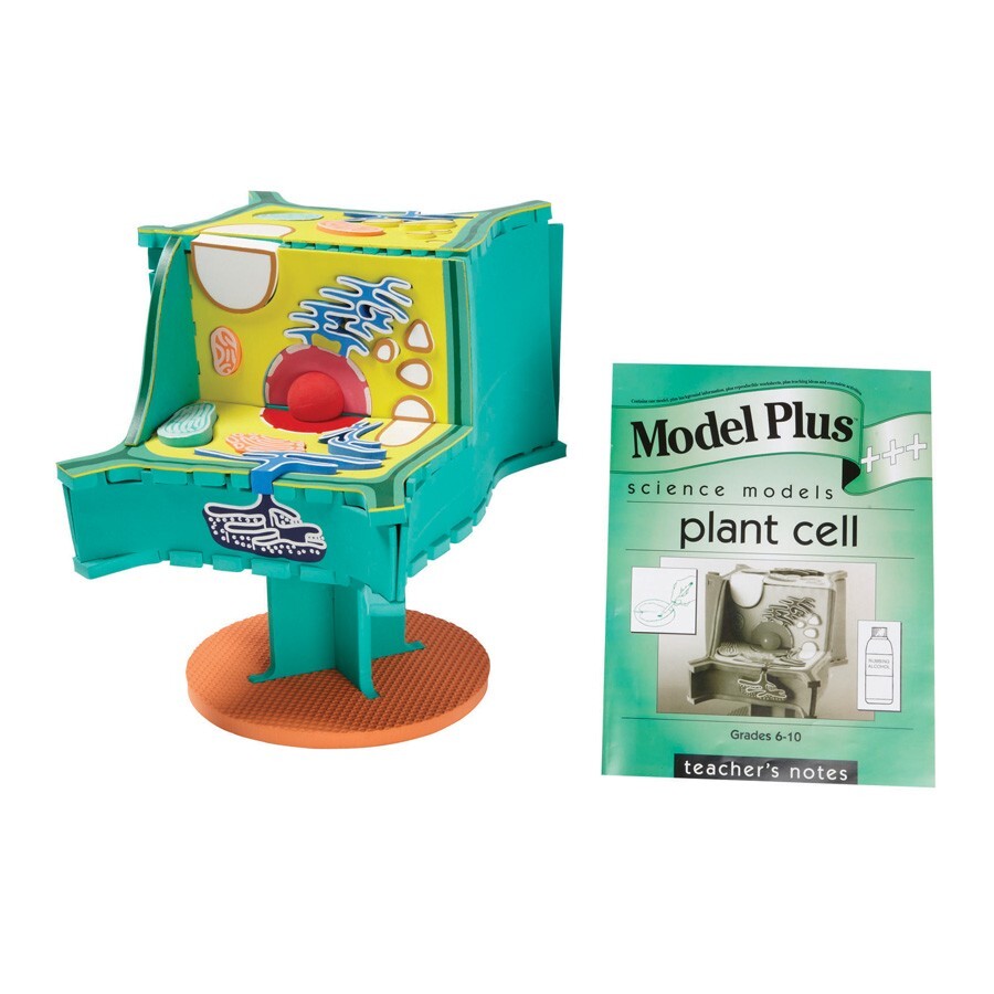 Ricky & Gang Model Plus: Plant Cell