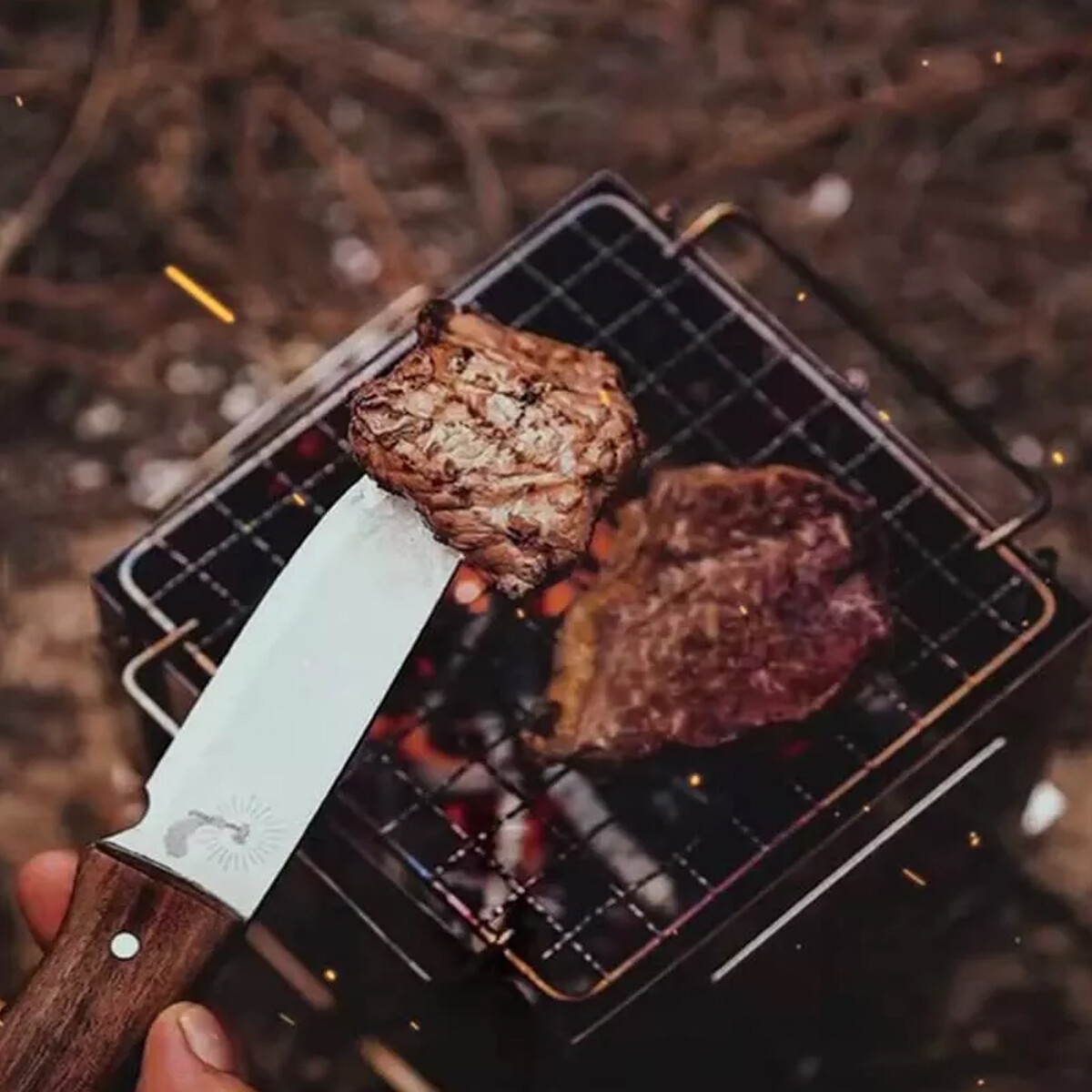 Portable Folding Stainless Steel Stove Outdoor Camping BBQ Wood Burning Stove