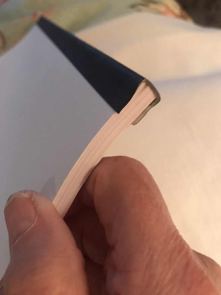 The Diving Bell and The Butterfly screenplay/ script