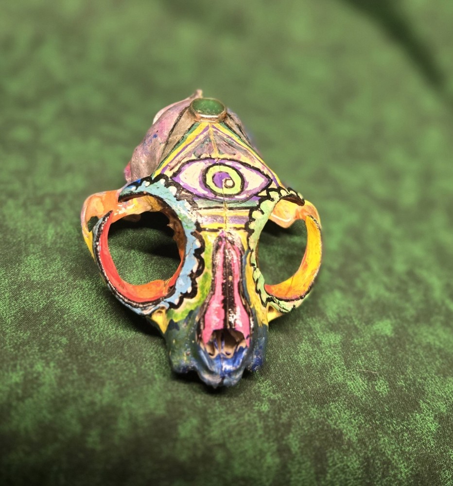 Hand Painted Genuine Cat  Skull