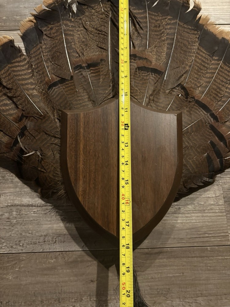 Turkey Tail/Beard Plaque Hardwood