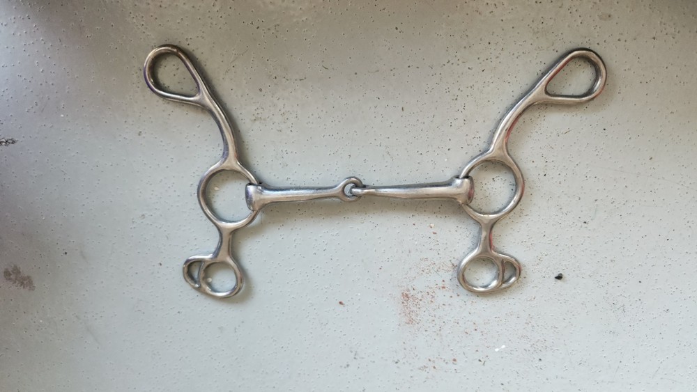Short Shanked Snaffle Mouthpiece Bit