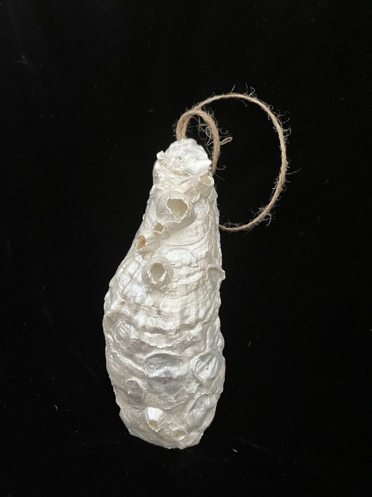 Handmade Decoupage on Oyster Shell Beach Theme