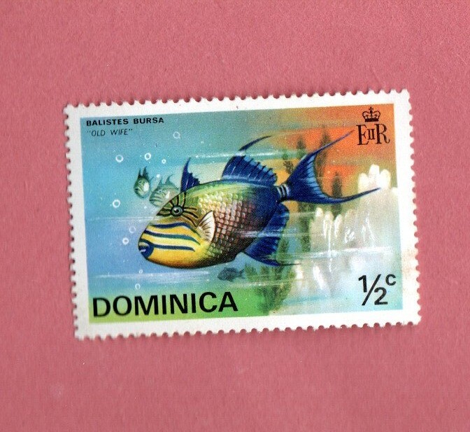 DOMICICA MNH FISH POSTAGE STAMP