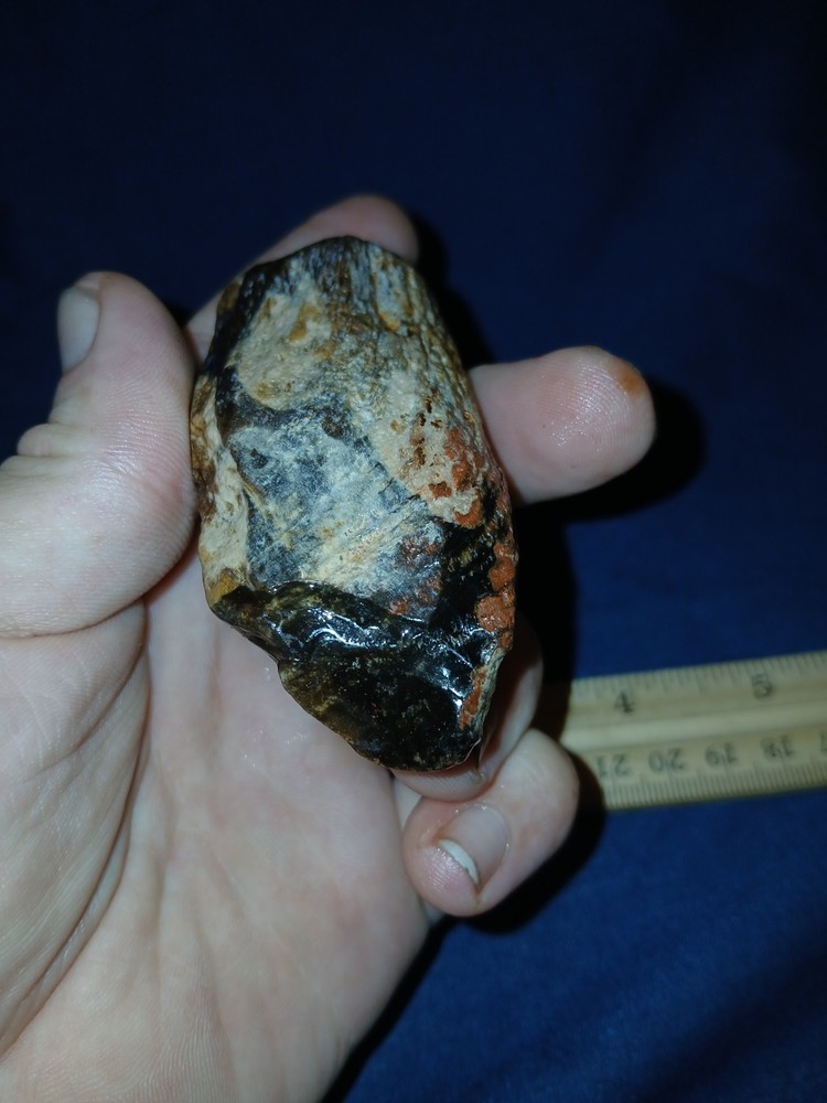 3 oz Agatized Petrified Wood