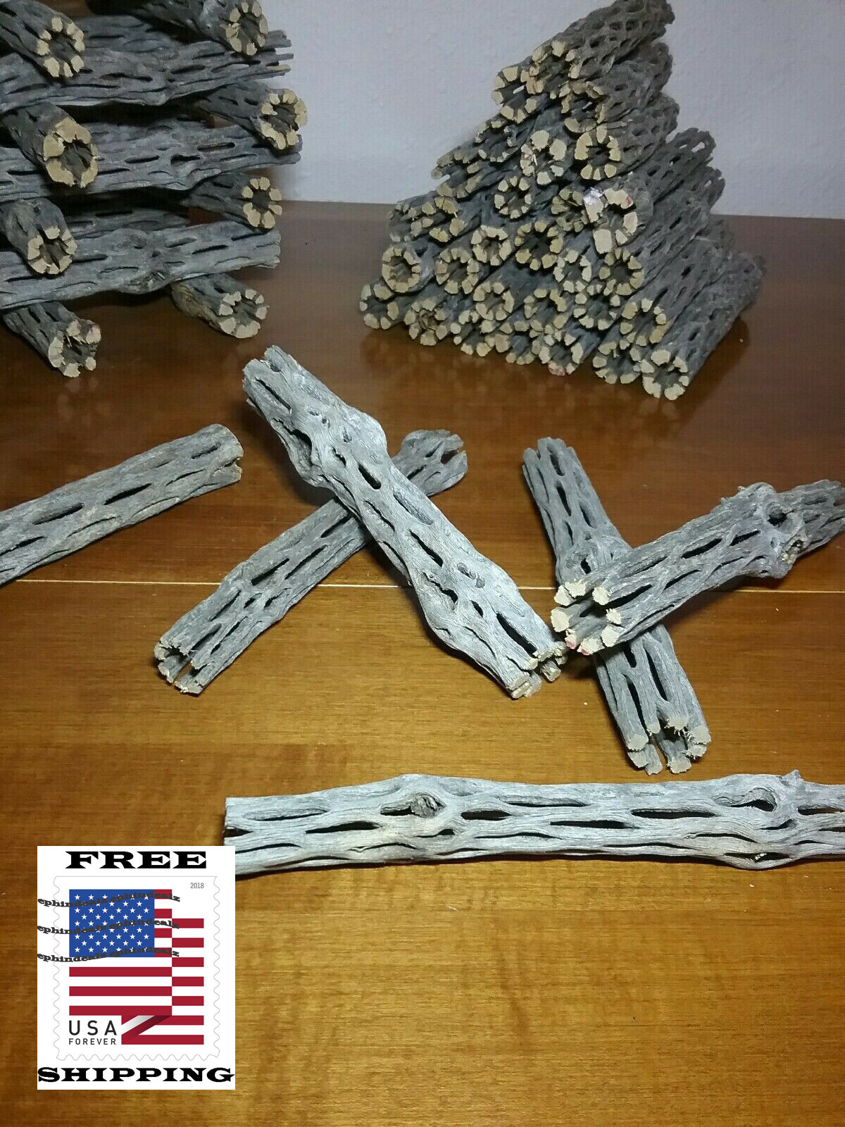 20 pcs 6" inch CHOLLA logs | Organic Cactus Wood | Shrimp Aquarium Decor | NICE!