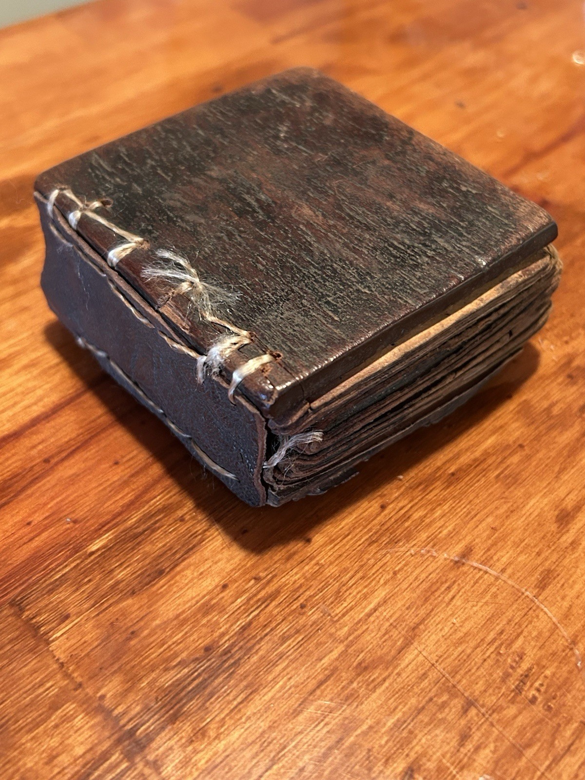 Antique African / Ethiopian Coptic Ge'ez Script Bible On Vellum w/ Docs 1800s