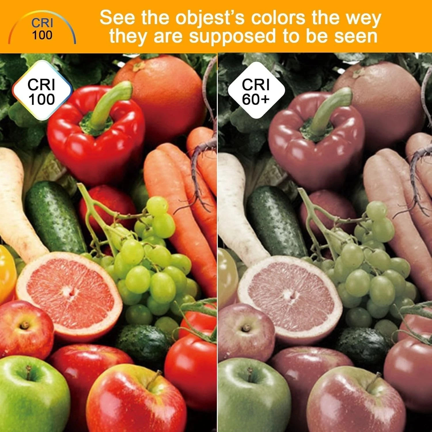 5,10,12pcs G9 Bulb 20 25 40 Watt 120 Volt Dimmable T4 JCD Type Bi-Pin Base