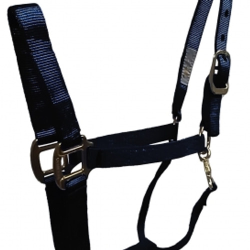 Hamilton Deluxe Eclipse 1" Halter w/Panic Snap