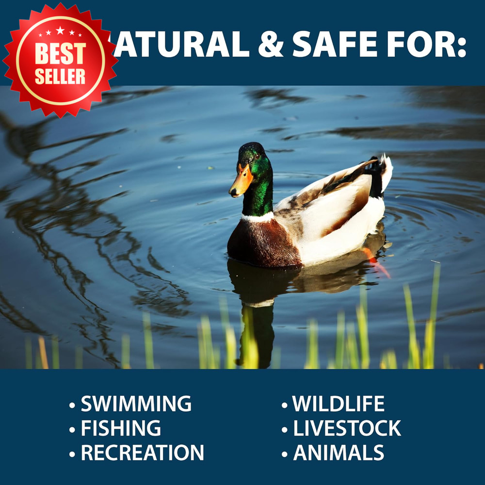 Muckaway Pond Lake Bacteria Sludge Odor Solution Enzyme Tablets US