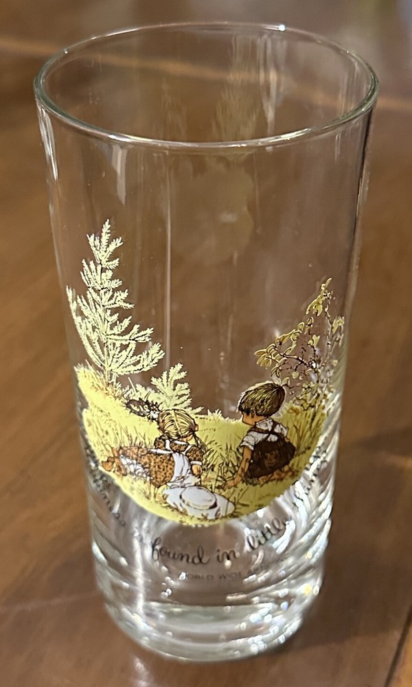 Holly Hobbie Tall Drinking Glasses