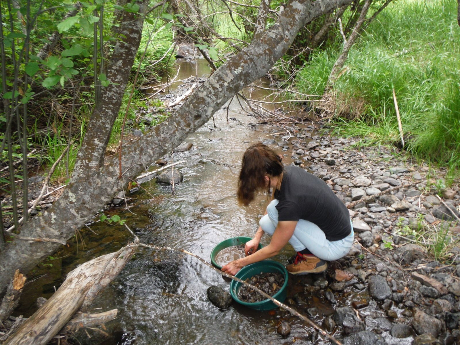 Republic Mining Prospectors Association Membership. Access to 18 Mining Claims.