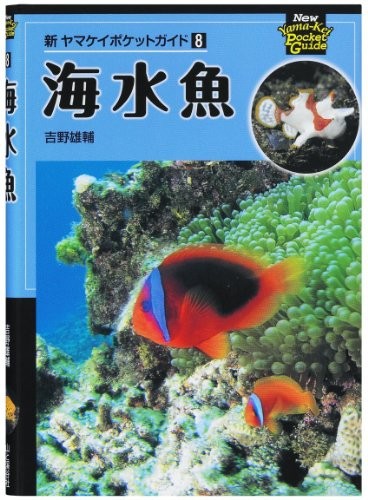 CASIO Ex-word electronic dictionary junior high school students learning model