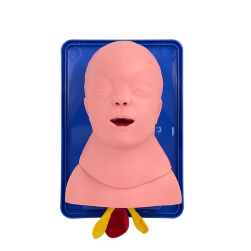 Infant Intubation Training Model for Training Institutions