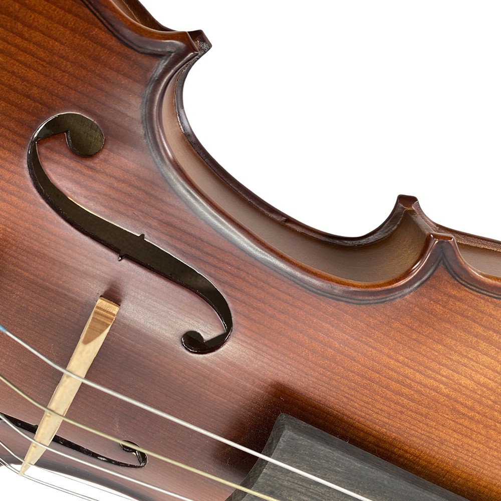 4/4 Violin 6 String Handmade with Bow Case and Accessories for Student Beginners