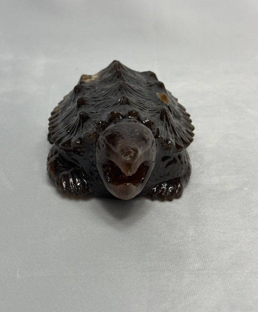 Stunning Amber Snapping Turtle